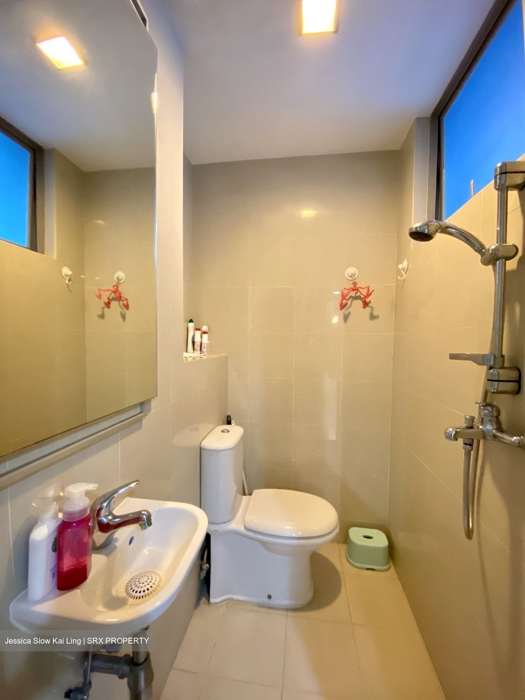 Novena Suites (D11), Apartment #620755021